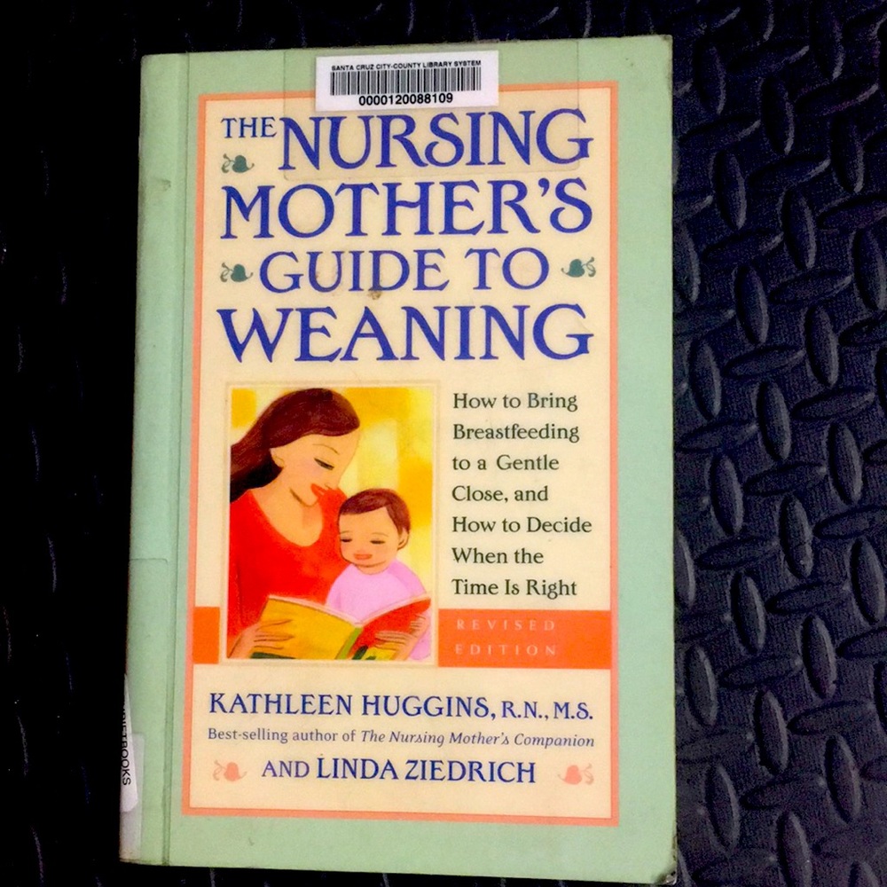 The Nursing Mother’s Guide to Weaning